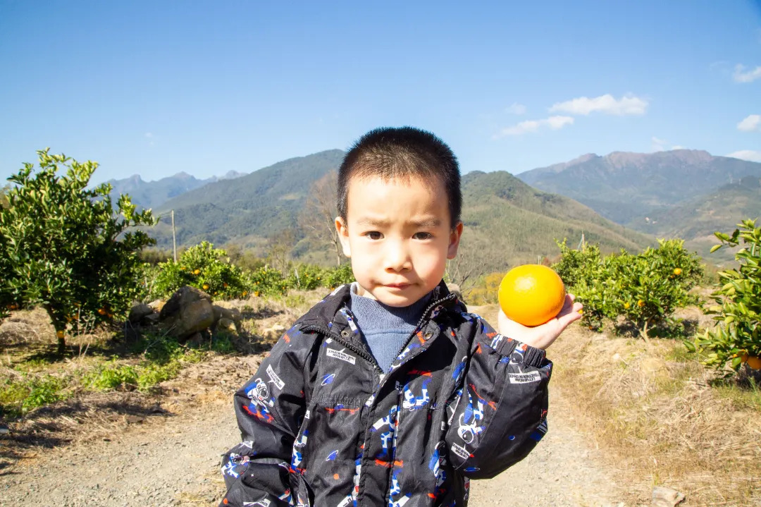 _31A1994.jpg 图片